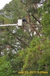 Entergy 037